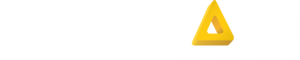 REXUS